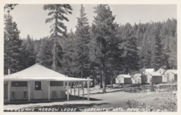 Yosemite National Park California, Tuolumne Meadow Lodge, Cabins, C1940s/50s Vintage Real Photo Postcard - Yosemite