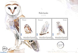 Netherlands - Personal Stamps TNT/PNL 2020 Owls 3v M/s, (Mint NH), Owls - Birds - Birds Of Prey - Ohne Zuordnung