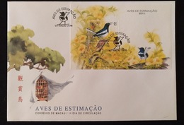 MAC1323 - Macau FDCB With Block Of 1 Stamp - Pet Birds - Macau - 1995 - FDC