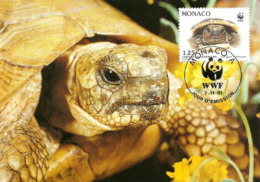 1991 - MONACO - Tortue Hermann Tortoise WWF - Sammlungen & Lose