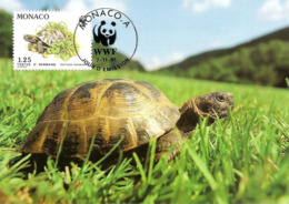 1991 - MONACO - Tortue Hermann Tortoise WWF - Sammlungen & Lose