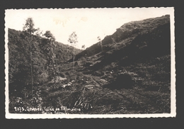 Gembes - Vallée De L'Almaiche - Taillie Falizeux - Bromide Photo - 1941 - Daverdisse