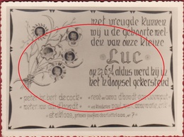Oud Geboortekaartje Carte Faire Part De Naissance Birth Card Baby Bebe Announcement St-Niklaas 1954 D'Hondt Van Cleemput - Geboorte
