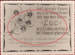 Oud Geboortekaartje Carte Faire Part De Naissance Birth Card Baby Bebe Announcement St-Niklaas 1954 D'Hondt Van Cleemput - Birth