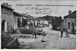 88 CHATENOIS HAMEAU DE VALAINCOURT FACTEUR ET HABITANTS  TRES ANIMEE - Chatenois