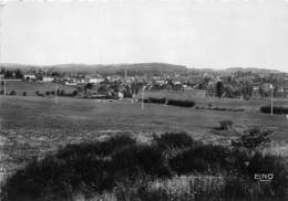 43-CRAPONNE- VUE PANORAMIQUE - Craponne Sur Arzon