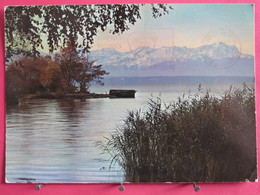 Visuel Très Peu Courant - Allemagne - Am Starnberger See - Blick Gegen Zugspitze - 1958 - Recto Verso - Zugspitze