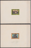 Mauritanie Mauritania Mauretanien 1973 Mi. 450 / 450 Epreuve De Luxe Proof Robbe Marine Fauna Seal Phoque Moine - Andere & Zonder Classificatie