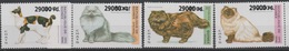 Guinée Guinea 2008 Mi. 6340-43 Surchargé Overprint Chats Katzen Cats Animals Faune Fauna - Chats Domestiques