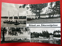 Scharmützelsee - DDR 1969 - Echtfoto - Brandenburg - Segelboot - Fürstenwalde