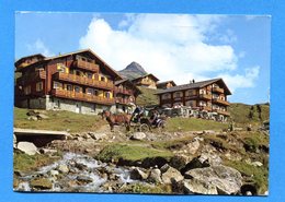 NY507, Hotel Alpfrieden Und Dépendance, Bettmeralp, Klopfenstein, GF, Circulée 1966 - Bettmeralp