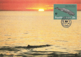 1983 - PALAU (Belau Ou Pelew) - Great Sperm Whale - Baleine  WWF - Palau