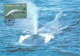 1983 - PALAU (Belau Ou Pelew) -  Blue Whale - Baleine Bleue WWF - Palau