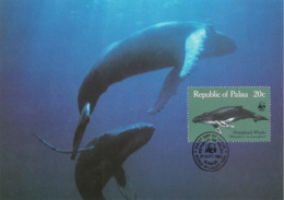 1983 - PALAU (Belau Ou Pelew) - Humpback Whale - Baleine à Bosse WWF - Palau