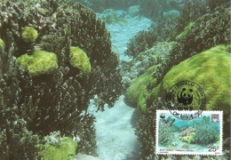 1992 - TUVALU - Blue Coral - Corail Bleu WWF - Tuvalu