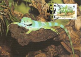 1990 - TONGA - Nuku'Alofa - Banded Iguana - Brachylophus Fasciatus Ou Iguane Des Fidji  WWF - Tonga