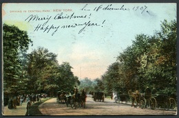 Driving In Central-Park - New York - Before 1908 - Central Park