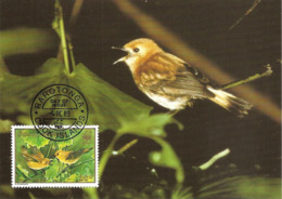 1989 - COOK ISLANDS - Rarotonga Flycatcher - Oiseau Mouche WWF - Isole Cook