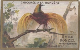 Commerce - Magasins - Chromo Emile Bonzel Haubourdin - Chicorée - Oiseau De Paradis - Tiendas