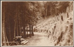 Pine Wood, Minehead, Somerset, C.1930s - Judges RP Postcard - Minehead