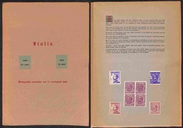 REGNO - POSTA ORDINARIA - 1908/1919 - Leoni Michetti - Monografia Martinero/Rigon (1950) Con I Relativi Falsi Singoli E  - Otros & Sin Clasificación