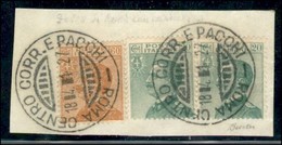 REGNO - POSTA ORDINARIA - 1927 - Falso Dell'Epoca - 60 Cent Michetti (F 205) - Con Complementari (219 Coppia) - Usato Su - Otros & Sin Clasificación