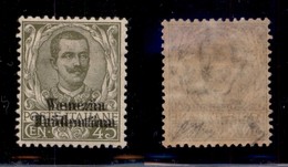 OCCUPAZIONI I GUERRA MONDIALE - TRENTINO-ALTO ADIGE - 1918 - 45 Cent (25b) Con Doppia Soprastampa - Gomma Originale - Ol - Sonstige & Ohne Zuordnung