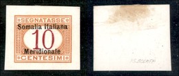COLONIE - SOMALIA - 1906 - Prova Di Lusso - 10 Cent (2) - Cartoncino Gessato - Sempre Senza Gomma - Other & Unclassified