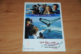 3380-         CANADA, NEW BRUNSWICK, THE NEW TIDE OF ADVENTURE - Altri & Non Classificati