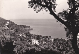 83 LE RAYOL, Vue Générale Sur La Baie, Carte Dentelée - Rayol-Canadel-sur-Mer