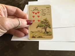 Carte à Jouer Cœur Arbre Arbre Près Maladie Arbre Loin Scène Vie - Otros & Sin Clasificación