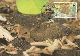 1992 - NIUAFO'OU MEGAPODE - Tonga - Mégapode De Pritchard WWF - Cocos (Keeling) Islands