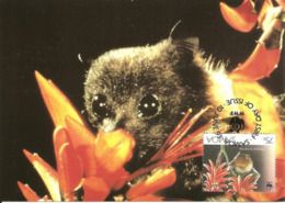 1993 - SAMOA - Tongan Fruit Bat - Chauve Souris Rousette Fructivore De TONGA - Samoa