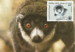 1987 - COMORES  Moroni - Lemurien Mongoz Lemur  WWF - Comores