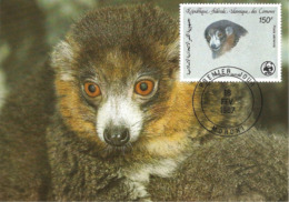 1987 - COMORES  Moroni - Lemurien Mongoz Lemur  WWF - Comores