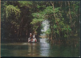 °°° 19807 - BRASIL - REGIAO AMAZONICA - EXCURSAO PELOS IGARAPES - 1977 °°° - Manaus