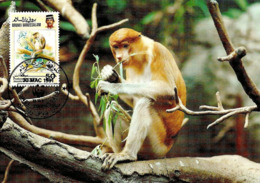 1991 - BRUNEI DARUSSALAM - Proboscis Monkey Singe  WWF - Brunei