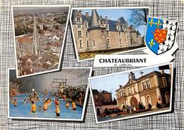 44-CHATEAUBRIANT- MULTIVUES - Châteaubriant