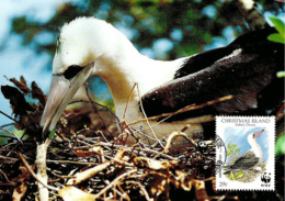 1990 - CHRISTMAS ISLAND - Abbott's Booby - Fou D'Abbott WWF - Isole Christmas