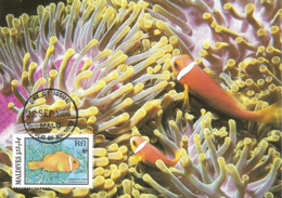 1986 - MALDIVES - Male - Anemonefish Poisson-clown WWF - Maldives