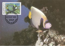 1986 - MALDIVES - Male - Emperor Angelfish - Ange De Mer Impérial  WWF - Maldiven