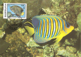 1986 - MALDIVES - Male - Regal Angelfish - Poisson-ange Duc  WWF - Maldiven