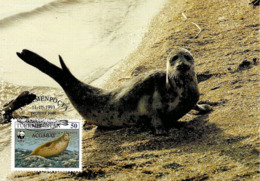 1993 - TURKMENISTAN Туркмениста́н - Caspian Seal - Phoque De La Mer Caspienne WWF - Turkmenistán