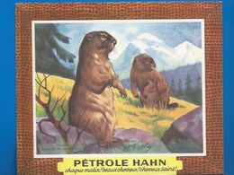 BUVARD - BEAUTÉ - SANTÉ - PÉTROLE HAHN -  LES MARMOTTES - ILLUSTRATEUR - Animales