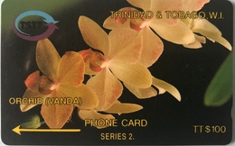 TRINITE & TOBAGO  -  Phonecard  - TSTT  -  ORCHID (Vanda)  -  TT $ 100 - Trinidad En Tobago