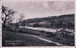 Cossonay Gare VD, Câbleries & Tréfileries (8661) - Cossonay