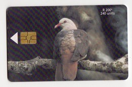 MAURICE TELECARTE REF MV CARDS MAU-49 240U OISEAU PINK PIGEON - Mauricio