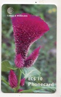 ANTIGUA & BARBUDA  TELECARTE FLEUR CELOSIA 10 EC$ - Antigua E Barbuda