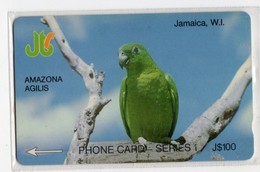 JAMAIQUE TELECARTE REF MV CARD JAM-5G J$100 CN 5JAMG DATE 1991 PERROQUET AMAZONA AGILIS - Giamaica
