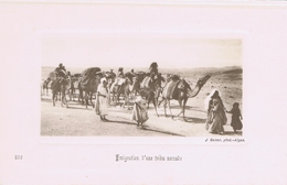 Algérie - Emigration D'une Tribu Nomade -  De J. Geiser, Photographe à Alger - Scènes & Types